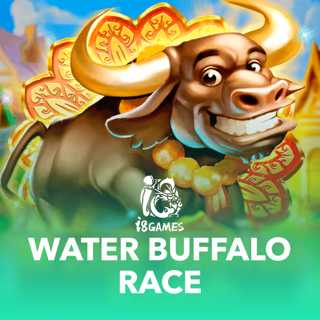 water-buffalo-race