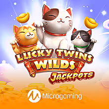 lucky-twins-wilds-jackpots