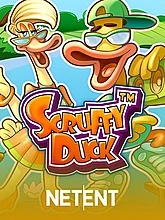 scruffy-duck