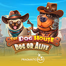 the-dog-house-dog-or-alive