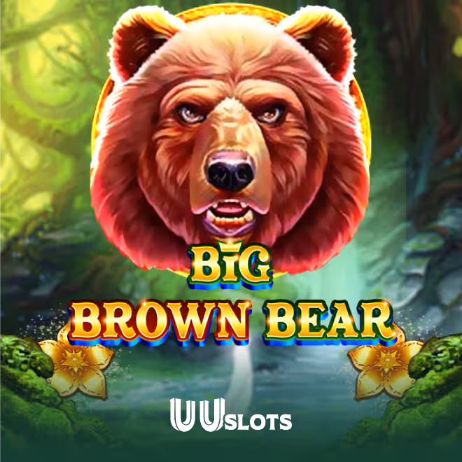 big-brown-bear